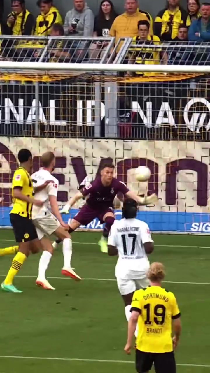 本可以成为多特的英雄阿莱多特时期混剪