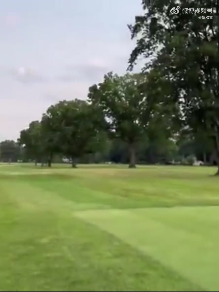 感觉一看就不太行没想到詹姆斯的高尔夫挥杆也是力量型