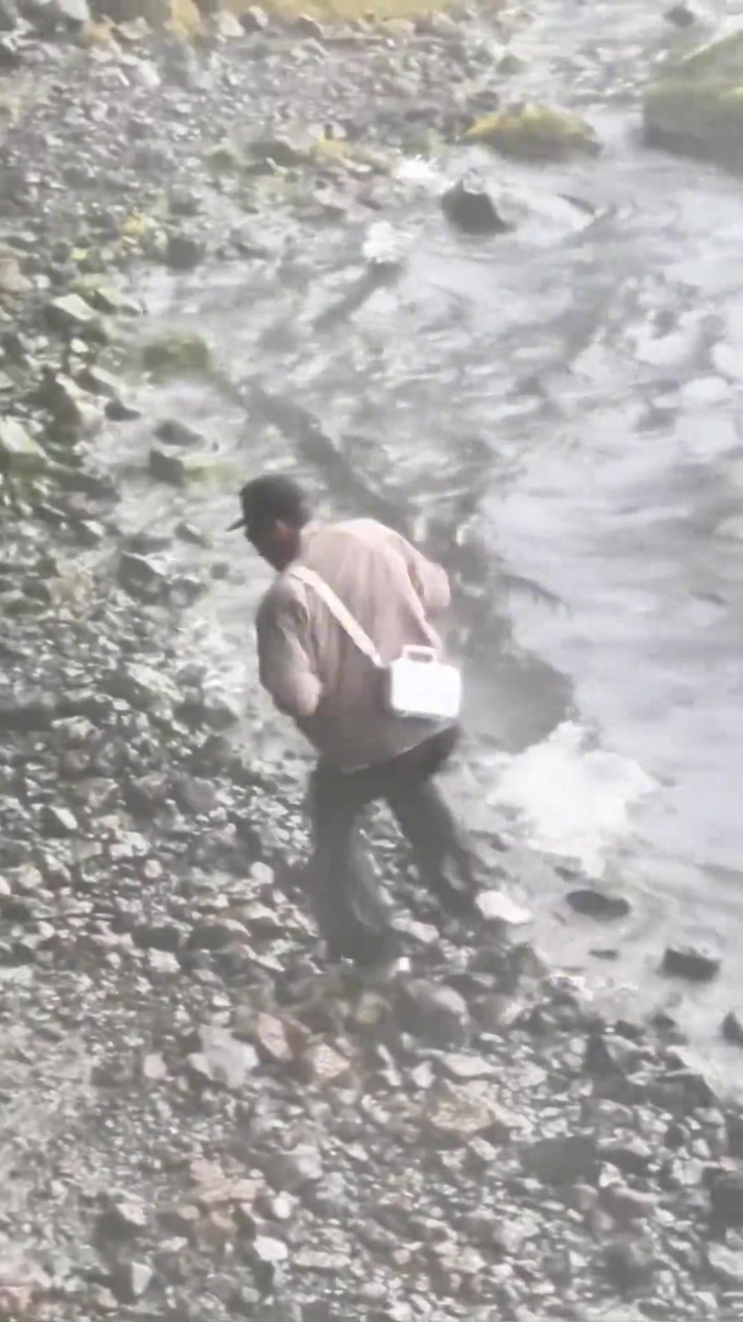 正在享受着旅行的布克 ...