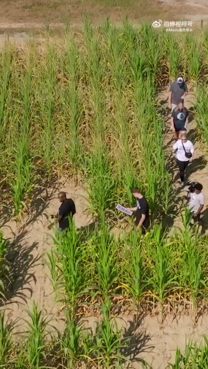 排面啊独行侠状元弗拉格走进有着自己巨幅剪影的玉米地