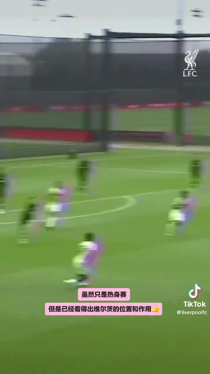 大师级这几个镜头下维尔茨简直是克罗斯球商和节奏感拉满