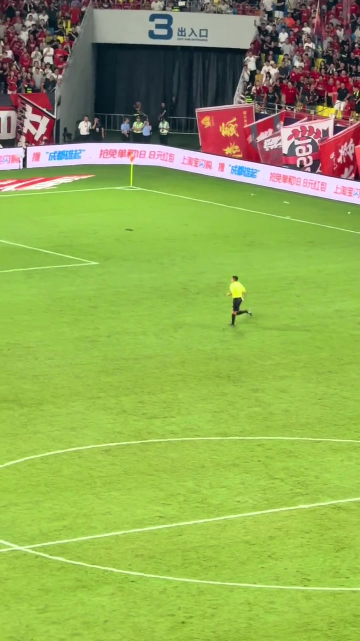 主裁罚下王大雷现场愤怒的泰山球迷高喊傻X