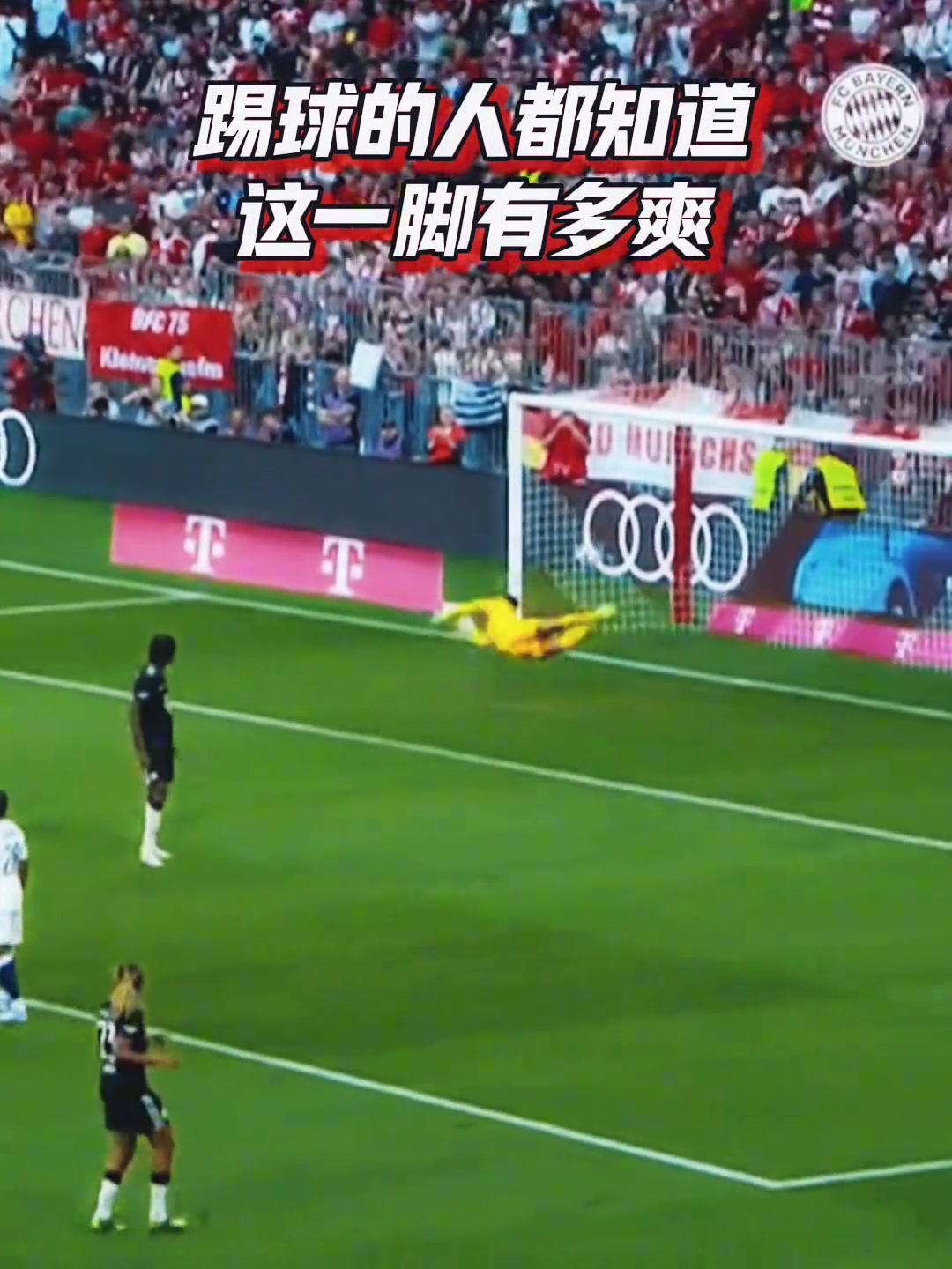 英雄出少年拜仁球迷终于迎来属于我们的青春风暴了