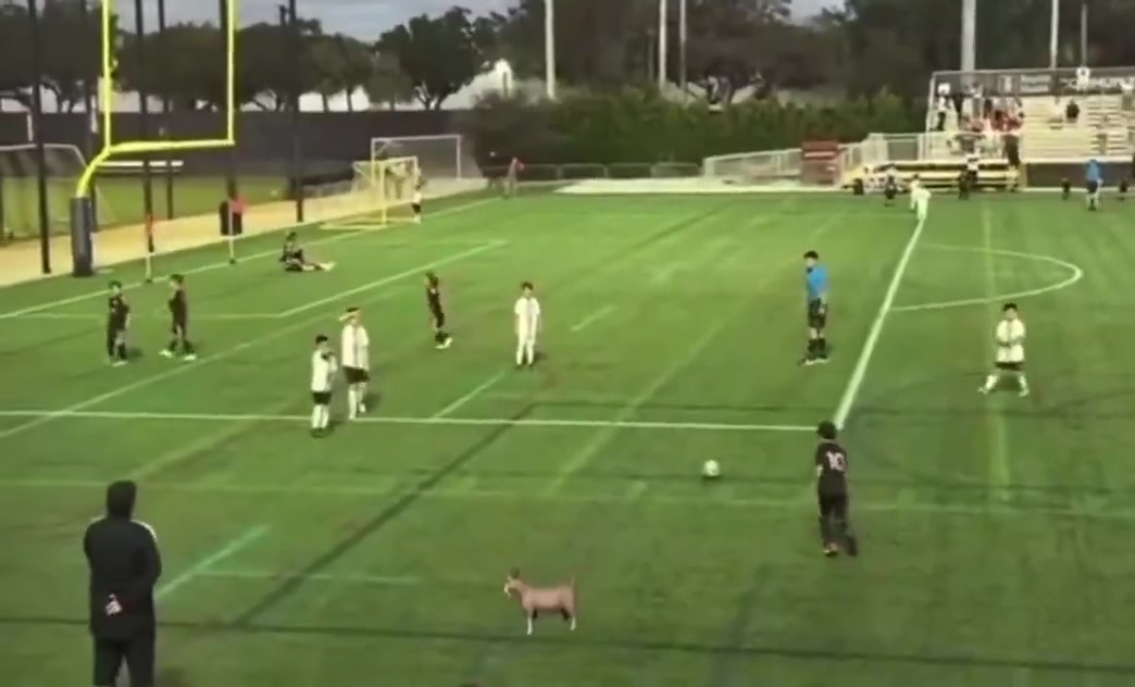 有你爹风范梅西三儿子任意球直接破门