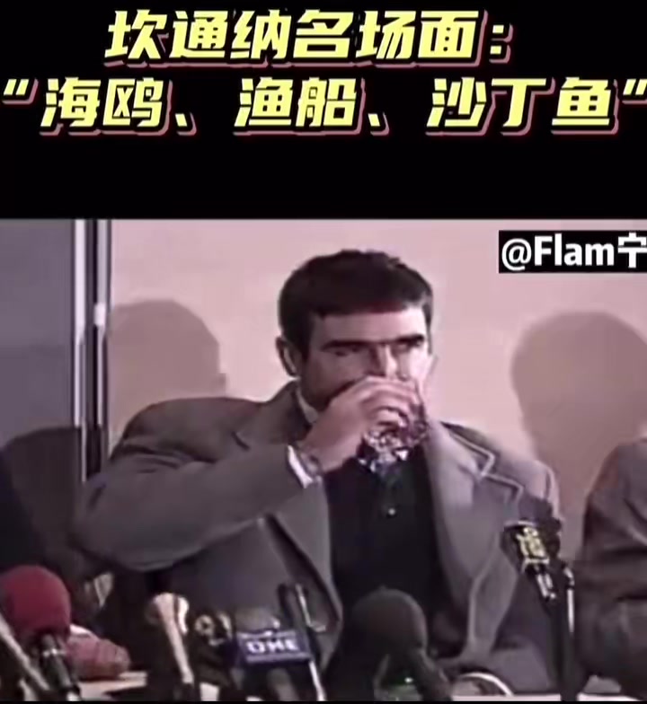 坎通纳名场面海鸥渔船沙丁鱼